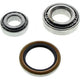 Repco Wheel Bearing Kit WBK5334