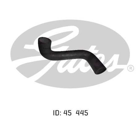 Gates Radiator Hose Lower 05-0261