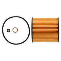 RYCO OIL FILTER (CARTRIDGE) R2673P