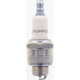 Champion Small Engine Spark Plug RJ19LM