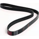 Repco Multi Ribbed Drive Belt 7 Rib x 1515mm 7PK1515RB