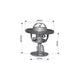 DAYCO THERMOSTAT 54MM 71 DEGREES C - 160 DEGREES F DT125C