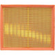 RYCO AIR FILTER - MERCEDES S CLASS A1609