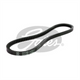 Gates AUTOMOTIVE V-BELT 13A0610