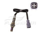 OEX  Oxygen Sensor OOS1282