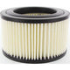 Repco Air Filter RAF226