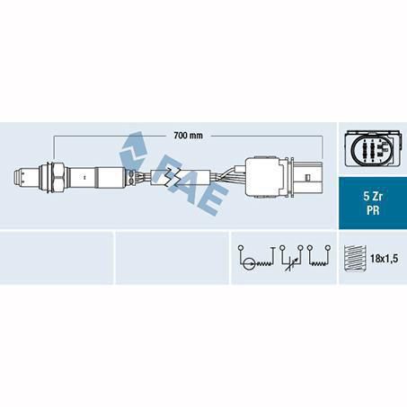 OEX  Oxygen Sensor OOS5251