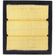 Repco Air Filter RAF561