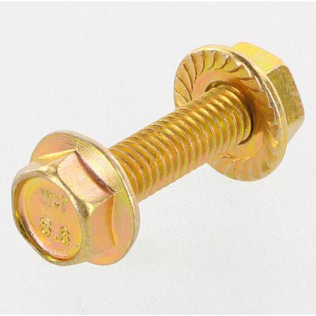 CHAMPION AUTO PARTS Champion Flange Nut Pack 6 x 25 FBM23