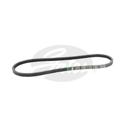 GATES DRIVE BELT 17A1170