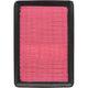 Repco Air Filter RAF147