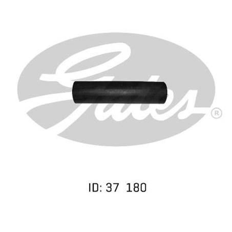 Gates Radiator Hose Lower 05-0939