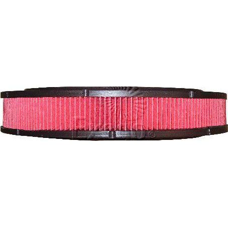Repco Air Filter RAF27