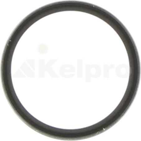 KELPRO Oil Seal