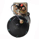 Delco Remy Starter Motor 12V 11Th CW 50MT 10479328