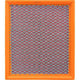 Repco Air Filter RAF361