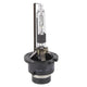 D2R 35W Hid Globe 4300K GLXD2R4300K
