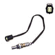 OEX  Oxygen Sensor OOS5042