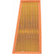RYCO AIR FILTER - CITROEN/PEUGEOT A1604