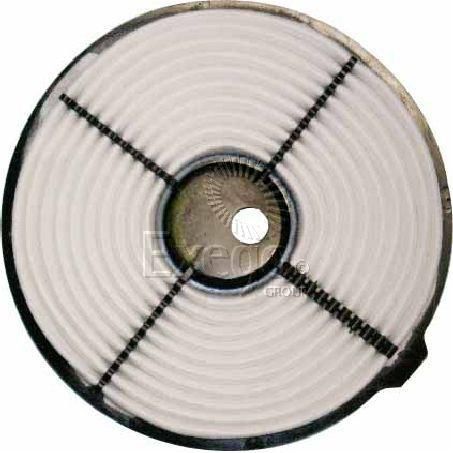 Repco Air Filter RAF39