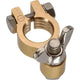 PROJECTA Battery Terminal Forged Brass Wingnut Negative 1pk