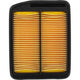 Repco Air Filter RAF239