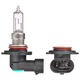 Narva HIR1 GLOBE 12V 65W PX20D