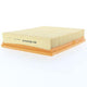 Repco Air Filter RAF675