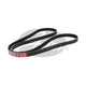 Gates Drive Belt 5PK1600