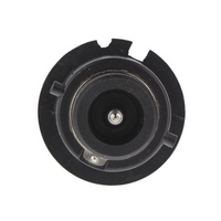 OEX D2R 35W Hid Globe 8000K