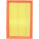 RYCO AIR FILTER - CITROEN/PEUGEOT A1685
