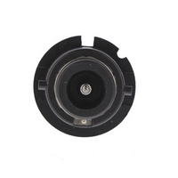 OEX D2S 35W Hid Globe 4300K