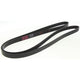 Repco Multi Ribbed Drive Belt 6 Rib x 2250mm 6PK2250RB