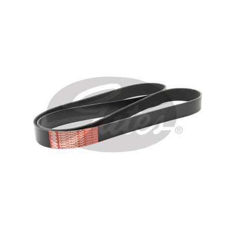 GATES FAN BELT RIBBED 10PK1800