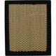 Repco Air Filter RAF303