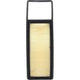Repco Air Filter RAF224