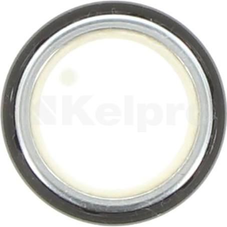 KELPRO Oil Seal