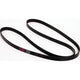 Repco Multi Ribbed Drive Belt 6 Rib x 2225mm 6PK2225RB