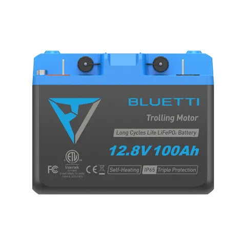 BLUETTI 12V 100Ah Lithium Battery â€“ Long-Life LiFePOâ‚„ Energy Storage for Solar, RV & Home Backup