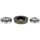 Repco Wheel Bearing Kit WBK2616