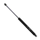 Repco Gas Struts Pair EP555-8BX-12
