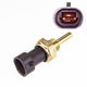 OEX  Temperature Sensor OCS31
