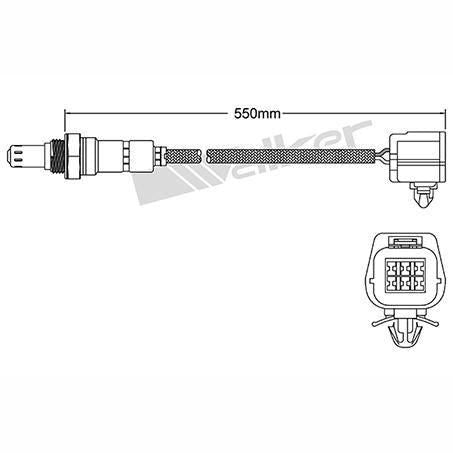OEX  Oxygen Sensor OOS5256