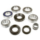 DRIVETECH 4X4 Diff Bearing Kit - Nissan DT-DBK11