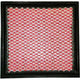 Repco Air Filter RAF116