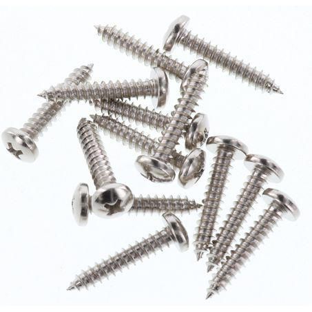 CHAMPION AUTO PARTS Champion Self Tapping Pan Head Screw Pack 10G x 1in. BH158