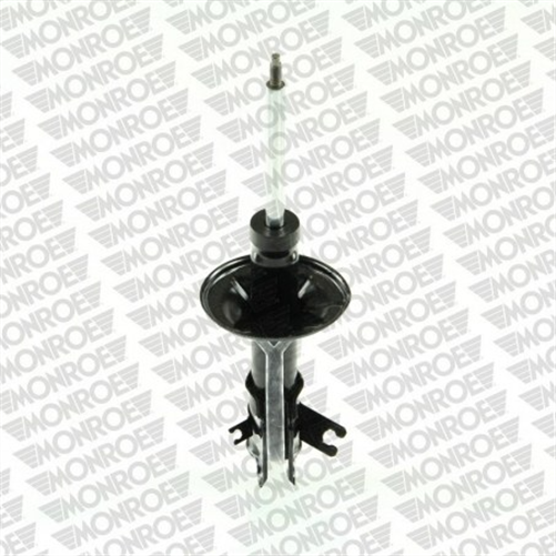 Suspension Strut Original G16379