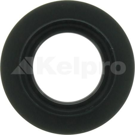 Kelpro Oil Seal 97561