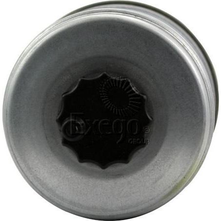 Repco Fuel Filter RDF18
