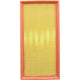 RYCO AIR FILTER - FIAT MITSUBISHI VOLVO A1719